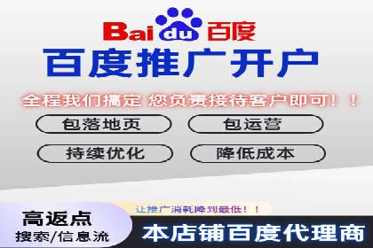 百度竞价推广成功案例解析
